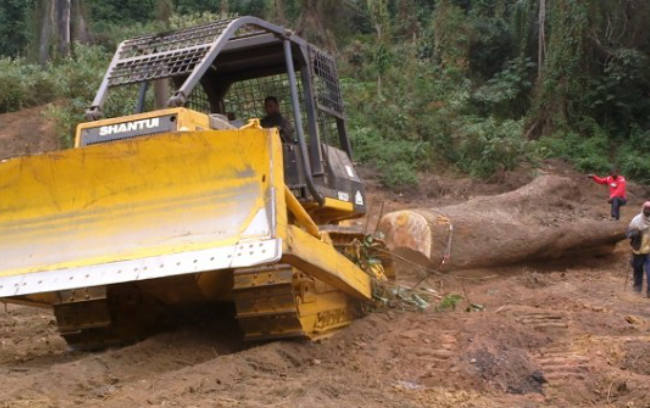 bbin·宝盈(中国)集团官方网站首页